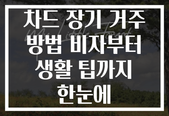 차드 장기 거주 방법 비자부터 생활 팁까지 한눈에