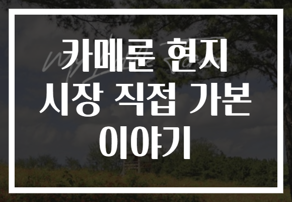 카메룬 현지 시장 직접 가본 이야기