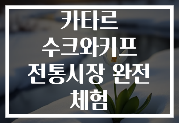 카타르 수크와키프 전통시장 완전 체험