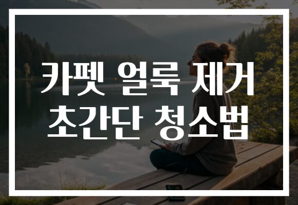 카펫 얼룩 제거 초간단 청소법