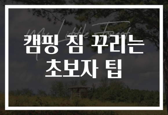 캠핑 짐 꾸리는 초보자 팁