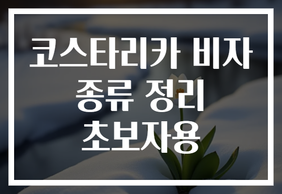 코스타리카 비자 종류 정리 초보자용