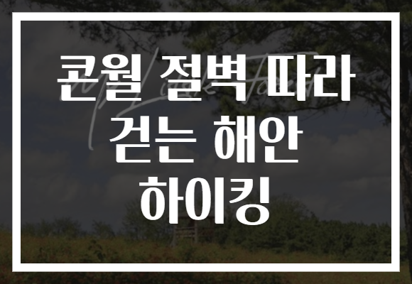 콘월 절벽 따라 걷는 해안 하이킹