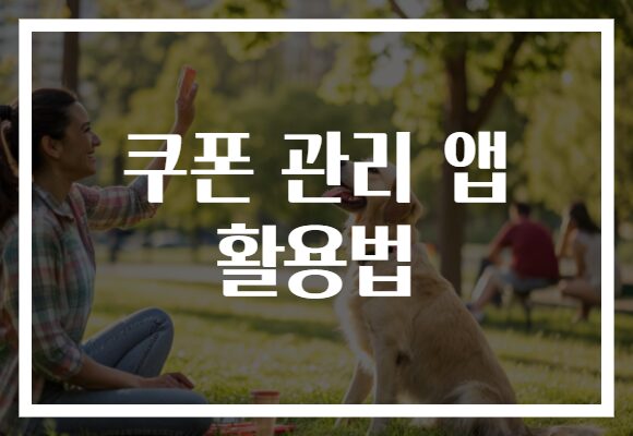 쿠폰 관리 앱 활용법