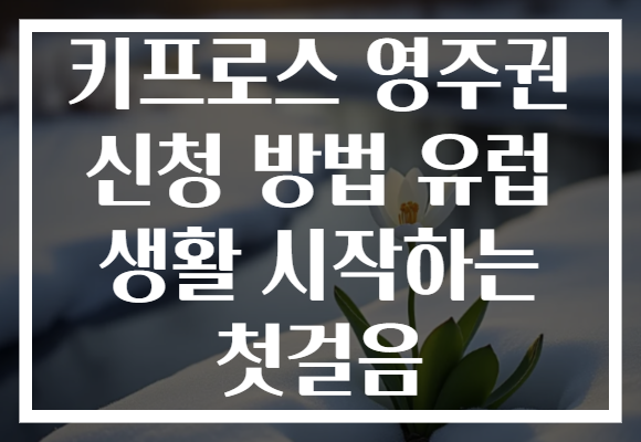 키프로스 영주권 신청 방법 유럽 생활 시작하는 첫걸음