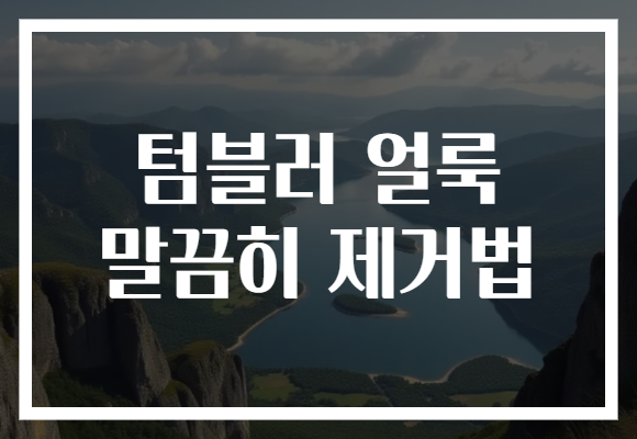 텀블러 얼룩 말끔히 제거법