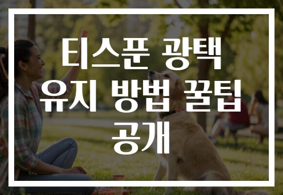 티스푼 광택 유지 방법 꿀팁 공개