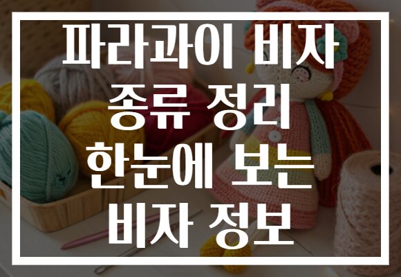 파라과이 비자 종류 정리 한눈에 보는 비자 정보