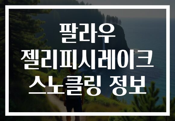 팔라우 젤리피시레이크 스노클링 정보