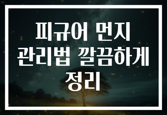 피규어 먼지 관리법 깔끔하게 정리
