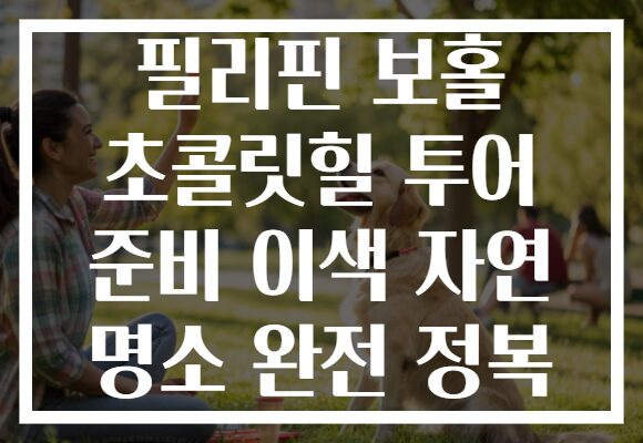 필리핀 보홀 초콜릿힐 투어 준비 이색 자연 명소 완전 정복