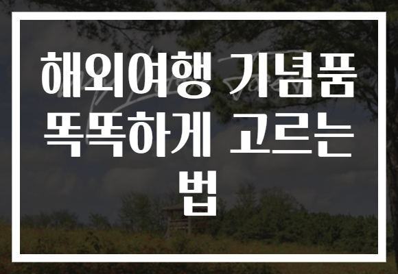 해외여행 기념품 똑똑하게 고르는 법