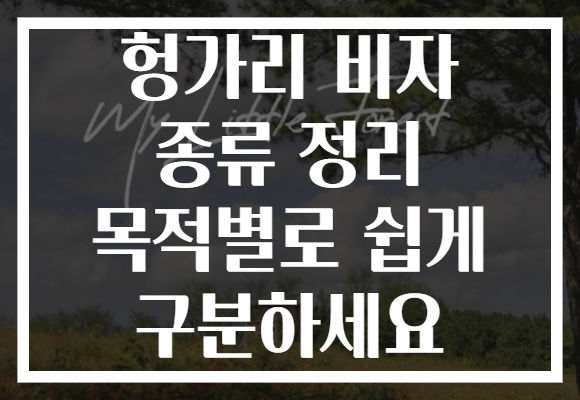 헝가리 비자 종류 정리 목적별로 쉽게 구분하세요