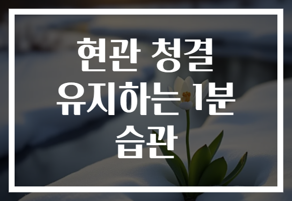 현관 청결 유지하는 1분 습관