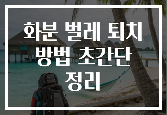 화분 벌레 퇴치 방법 초간단 정리