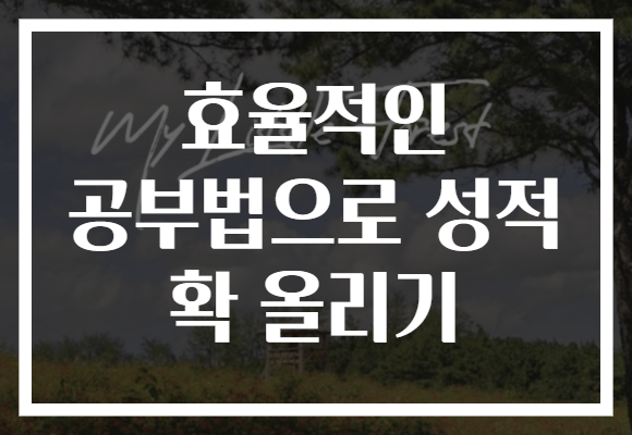 효율적인 공부법으로 성적 확 올리기