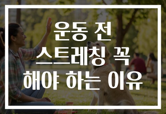 운동 전 스트레칭 꼭 해야 하는 이유