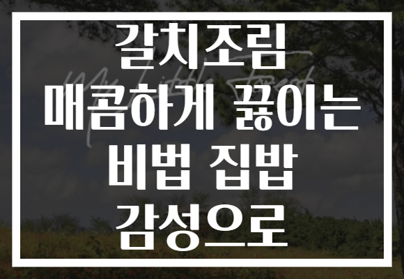 갈치조림 매콤하게 끓이는 비법 집밥 감성으로