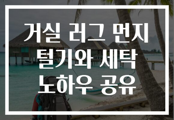 거실 러그 먼지 털기와 세탁 노하우 공유