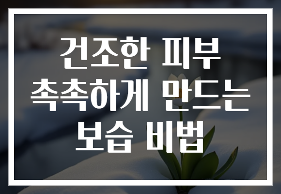 건조한 피부 촉촉하게 만드는 보습 비법
