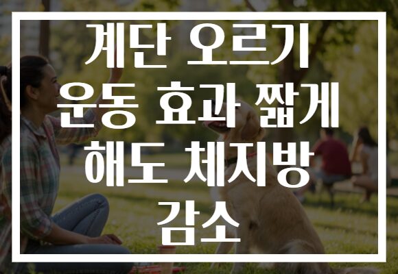 계단 오르기 운동 효과 짧게 해도 체지방 감소