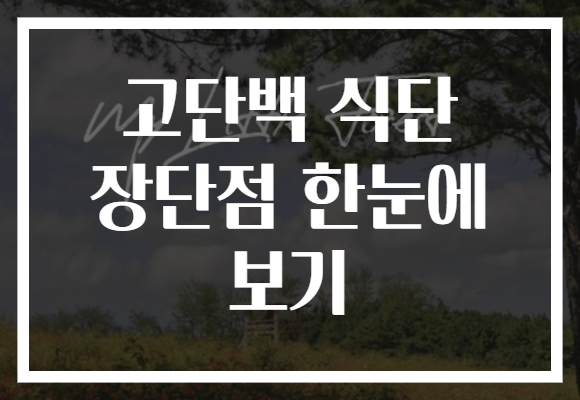 고단백 식단 장단점 한눈에 보기