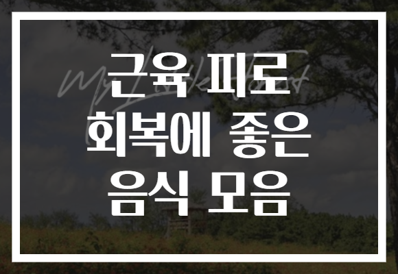 근육 피로 회복에 좋은 음식 모음