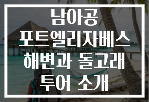 남아공 포트엘리자베스 해변과 돌고래 투어 소개
