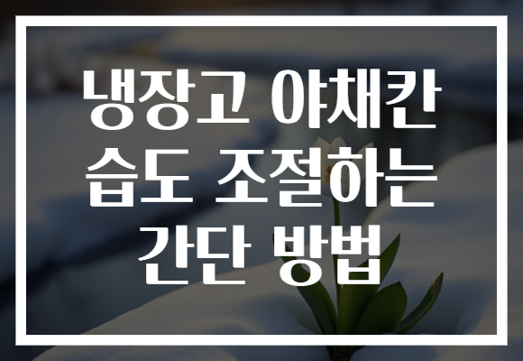 냉장고 야채칸 습도 조절하는 간단 방법