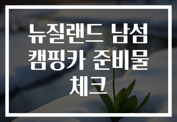 뉴질랜드 남섬 캠핑카 준비물 체크