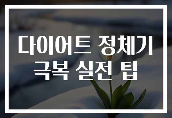 다이어트 정체기 극복 실전 팁