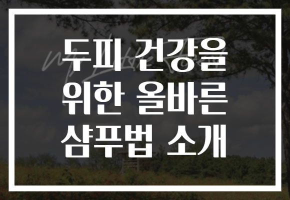 두피 건강을 위한 올바른 샴푸법 소개