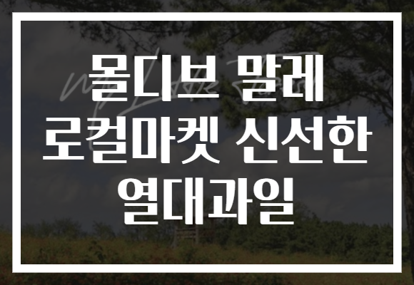몰디브 말레 로컬마켓 신선한 열대과일