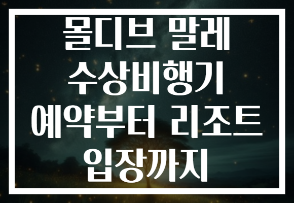 몰디브 말레 수상비행기 예약부터 리조트 입장까지