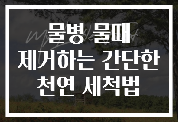 물병 물때 제거하는 간단한 천연 세척법