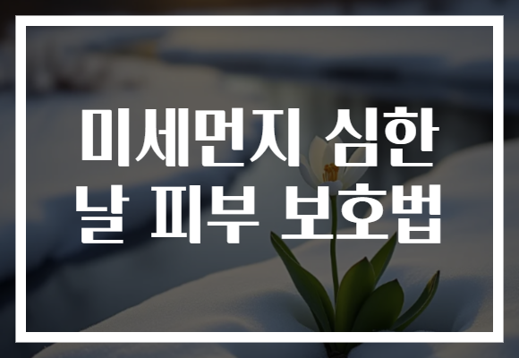미세먼지 심한 날 피부 보호법