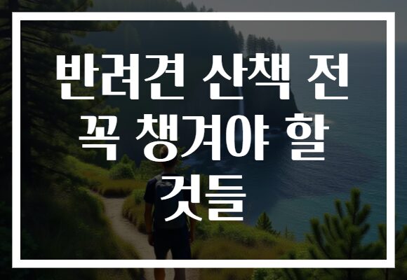 반려견 산책 전 꼭 챙겨야 할 것들