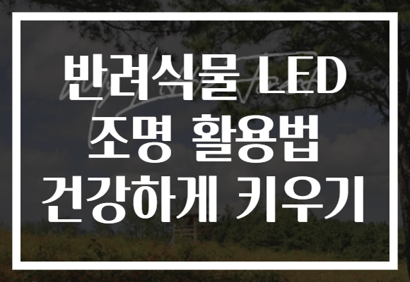 반려식물 LED 조명 활용법 건강하게 키우기