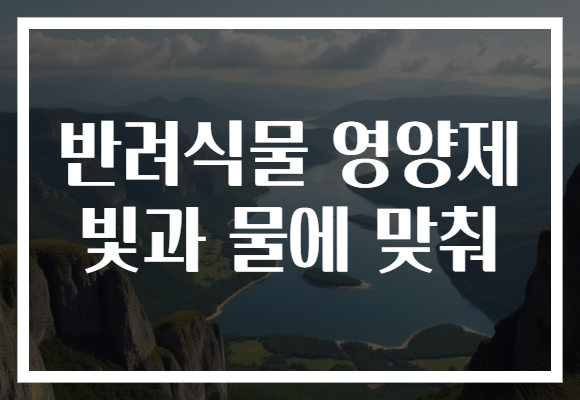 반려식물 영양제 빛과 물에 맞춰