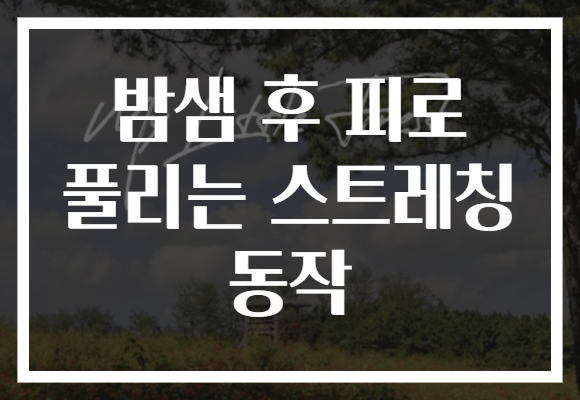 밤샘 후 피로 풀리는 스트레칭 동작