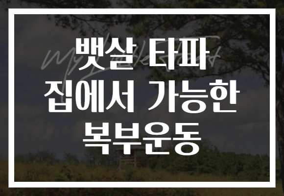 뱃살 타파 집에서 가능한 복부운동