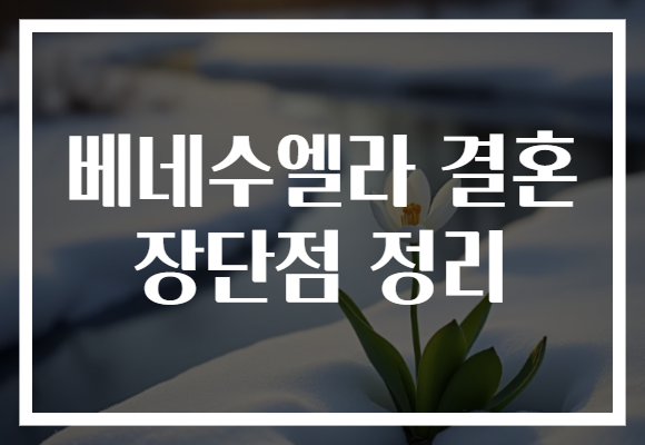베네수엘라 결혼 장단점 정리