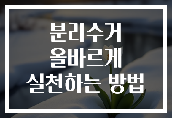 분리수거 올바르게 실천하는 방법
