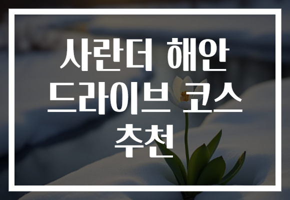 사란더 해안 드라이브 코스 추천
