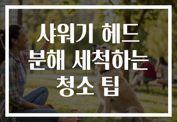 샤워기 헤드 분해 세척하는 청소 팁