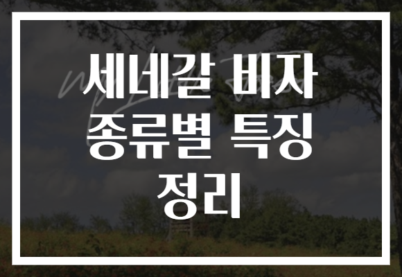 세네갈 비자 종류별 특징 정리