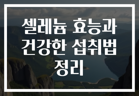 셀레늄 효능과 건강한 섭취법 정리
