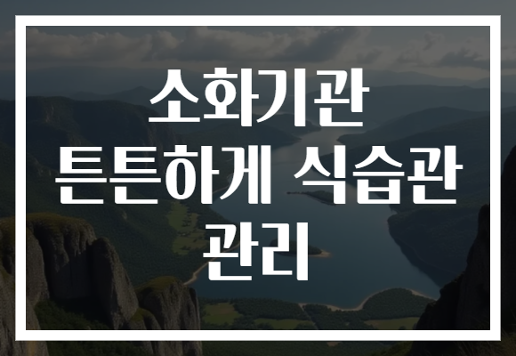소화기관 튼튼하게 식습관 관리