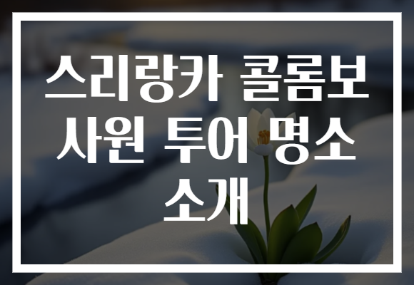 스리랑카 콜롬보 사원 투어 명소 소개
