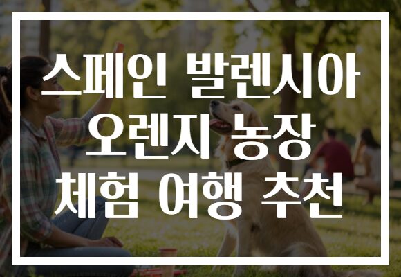 스페인 발렌시아 오렌지 농장 체험 여행 추천